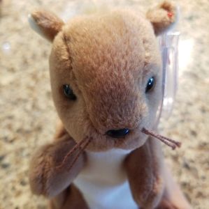 Nuts the Squirrel Beany Baby